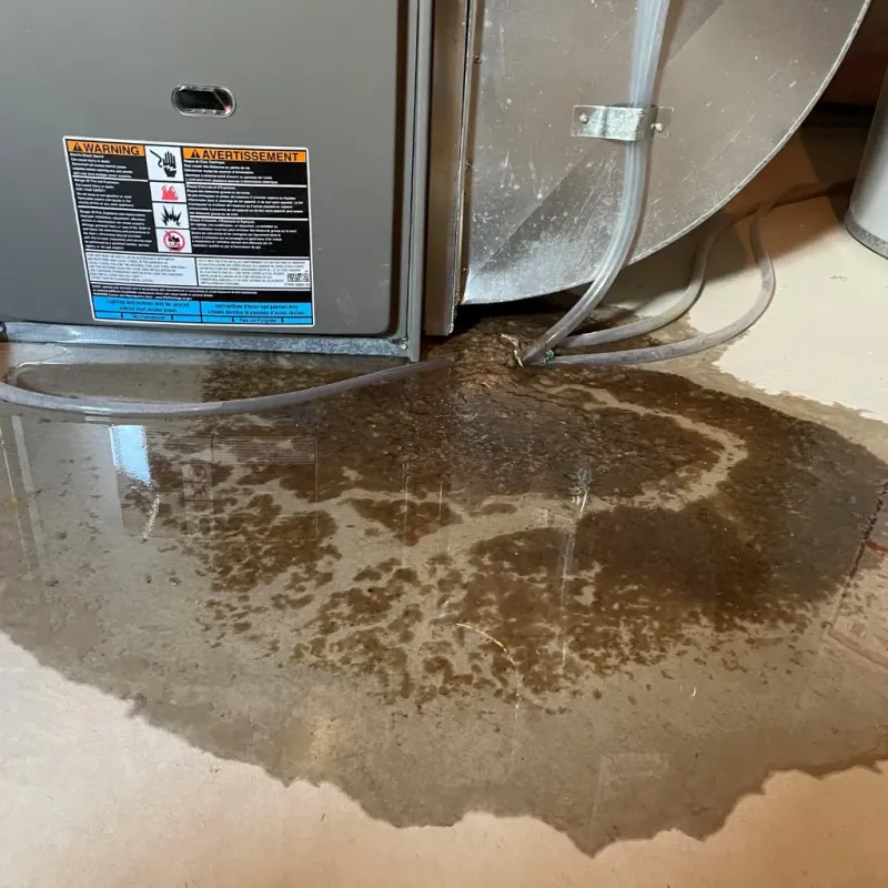 Appliance Leak Cleanup in Lakeshore, LA