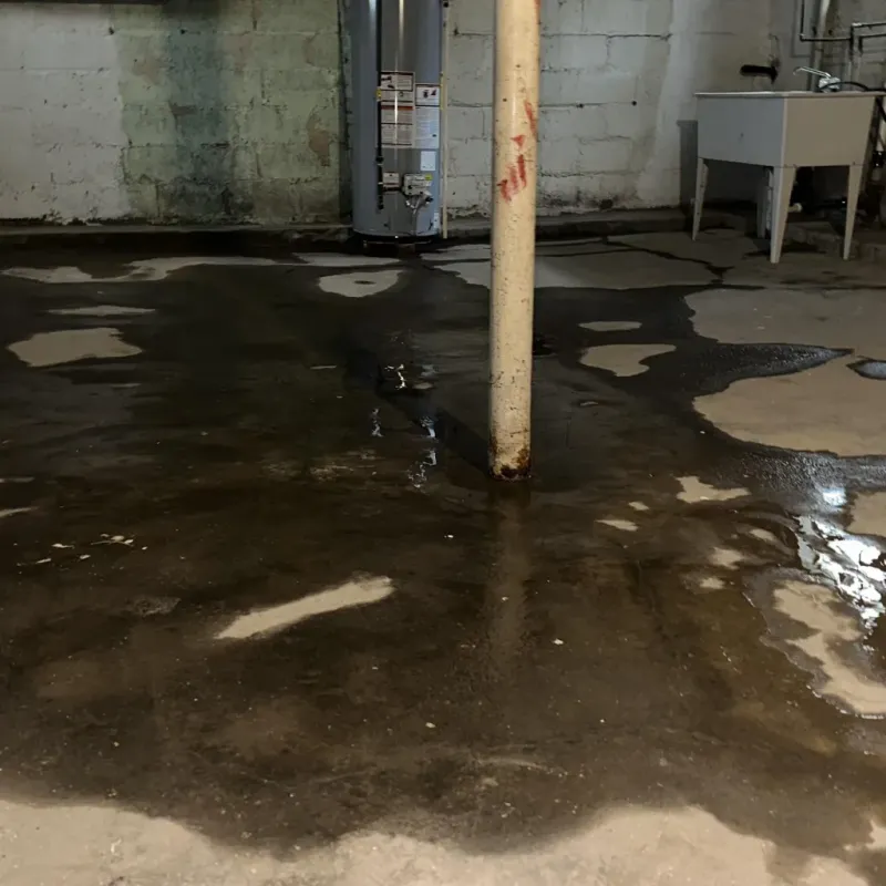Emergency Water Extraction And Removal in Lakeshore, LA